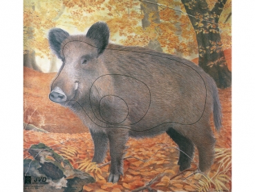 Wildschwein 