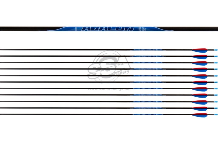 Classic 4.2 Carbon - Avalon Komplettpfeil