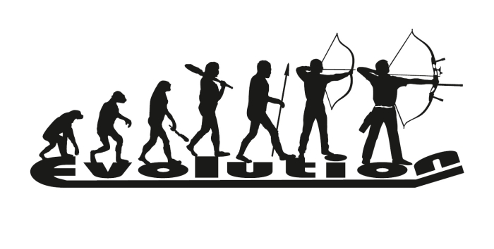 Evolution Recurve - Kontrastaufkleber (12)